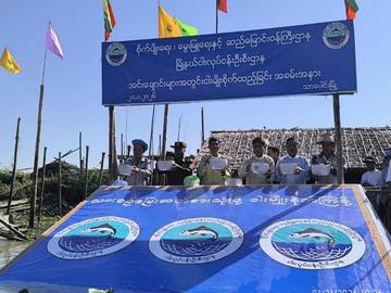 ဧရာဝတီတိုင်းဒေသကြီး၊ သာပေါင်းမြို့နယ်၊ ငှက်ပေါက်အင်း၌ ငါးမျိုး  စိုက်ထည့်ခြင်း အခမ်းအနား ကျင်းပမှု မှတ်တမ်းဓာတ်ပုံ။